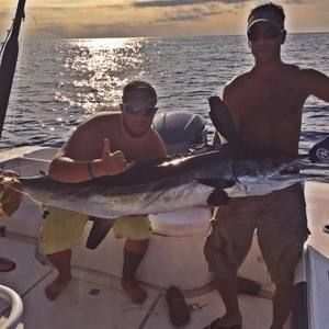 Meet your Posher, Joe